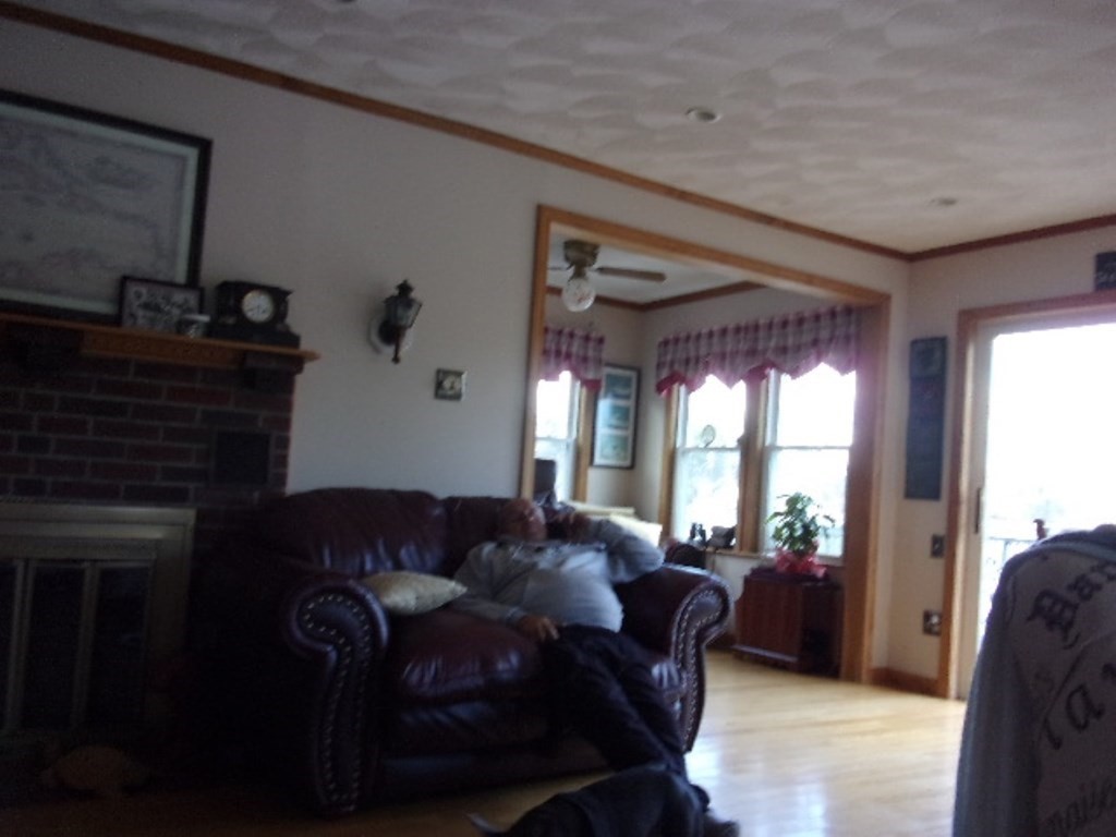 18-20 Conduit Street Lawrence, MA 01841 - Photo 6 of 23 a living room with furniture a fireplace and a potted plant