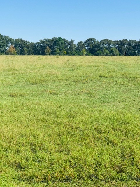 0 McVey Road Aiken, SC 29803 - Photo 9 of 10