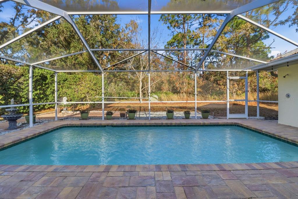 3 Ipomoea Court Homosassa, FL 34446 - Photo 32 of 46 a view of a swimming pool with a patio and a yard