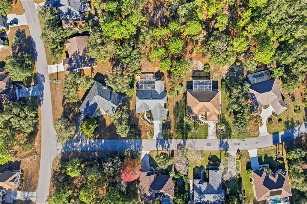 3 Ipomoea Court Homosassa, FL 34446 - Photo 43 of 46 an aerial view of multiple house
