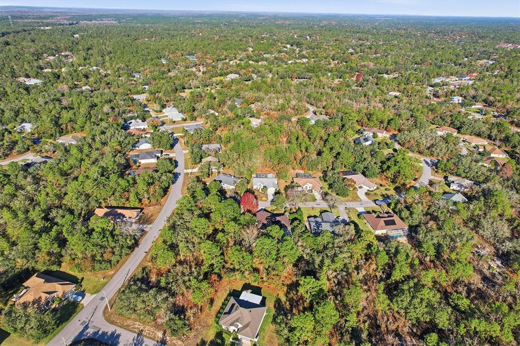 3 Ipomoea Court Homosassa, FL 34446 - Photo 44 of 46 an aerial view of residential houses with outdoor space and trees