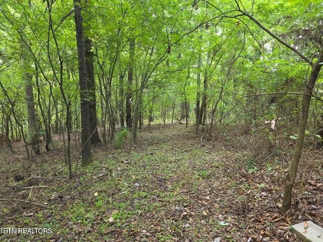 6239 North Trigonia Road Greenback, TN 37742 - Photo 8 of 56