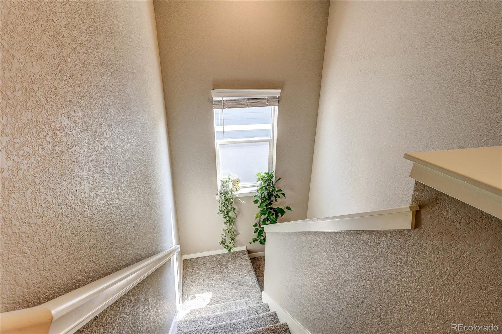 1335 Copeland Falls Road Severance, CO 80550 - Photo 22 of 48