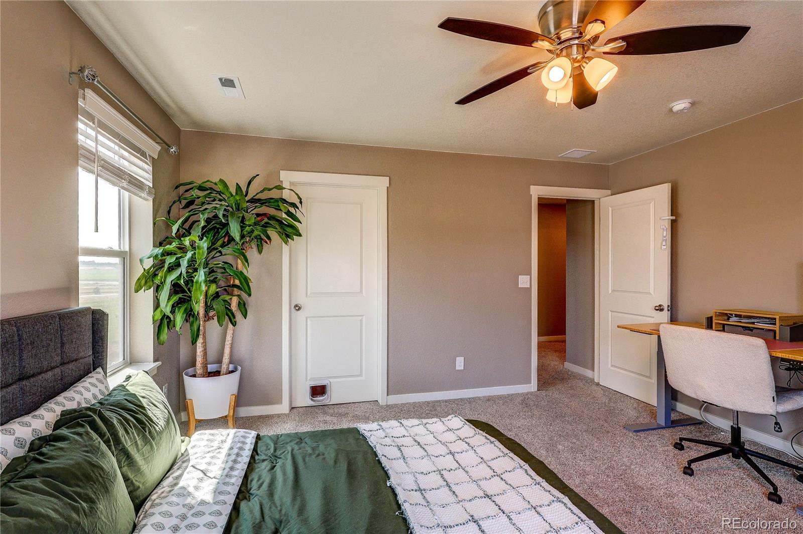 1335 Copeland Falls Road Severance, CO 80550 - Photo 24 of 48 a living room with furniture and a potted plant