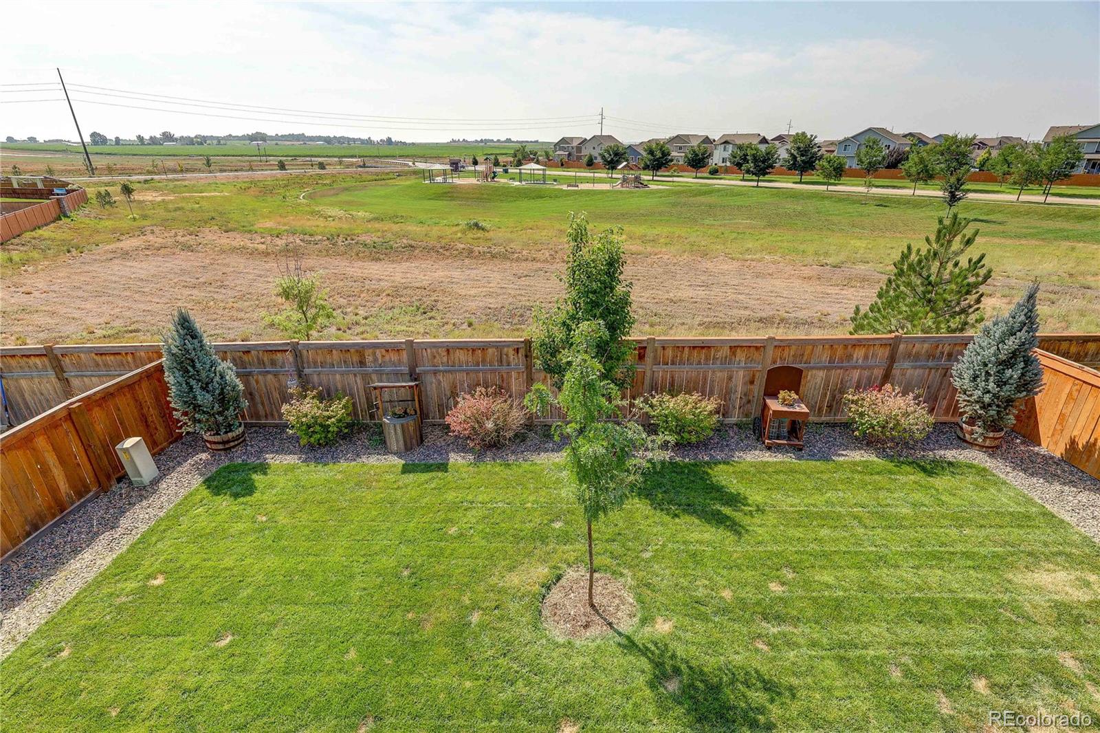 1335 Copeland Falls Road Severance, CO 80550 - Photo 42 of 48