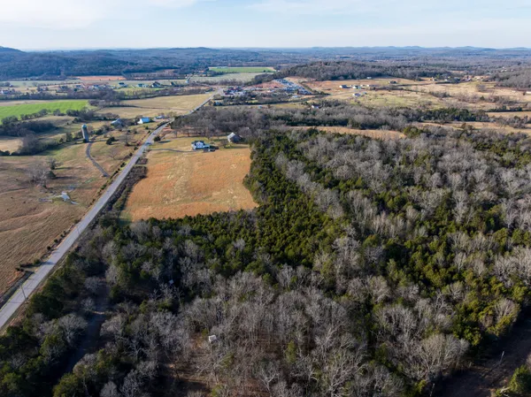 a view of a trees in a forest