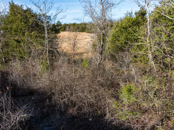 a view of backyard and porch