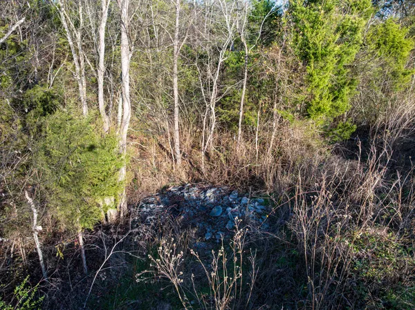 a view of a yard with mountain view
