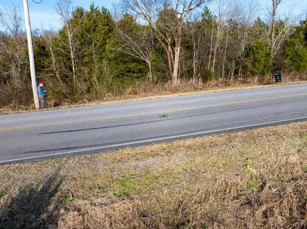 a view of a pathway of a yard