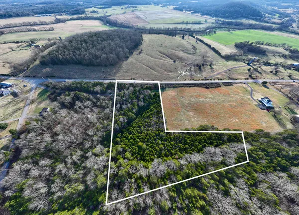 a view of outdoor space and garden