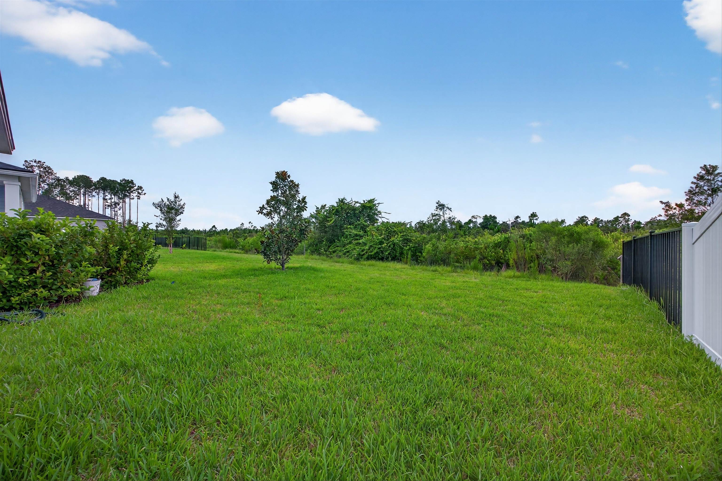 168 Torres Trace St. Augustine, FL 32095 - Photo 30 of 50 a view of a grassy field