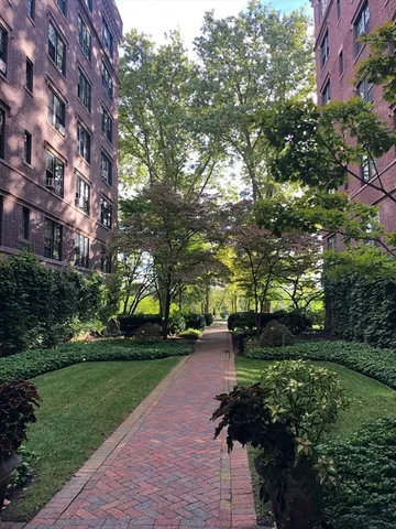 a view of a park with plants and trees