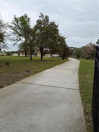 a view of a park with large trees