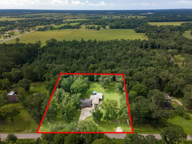 a view of a park with large trees