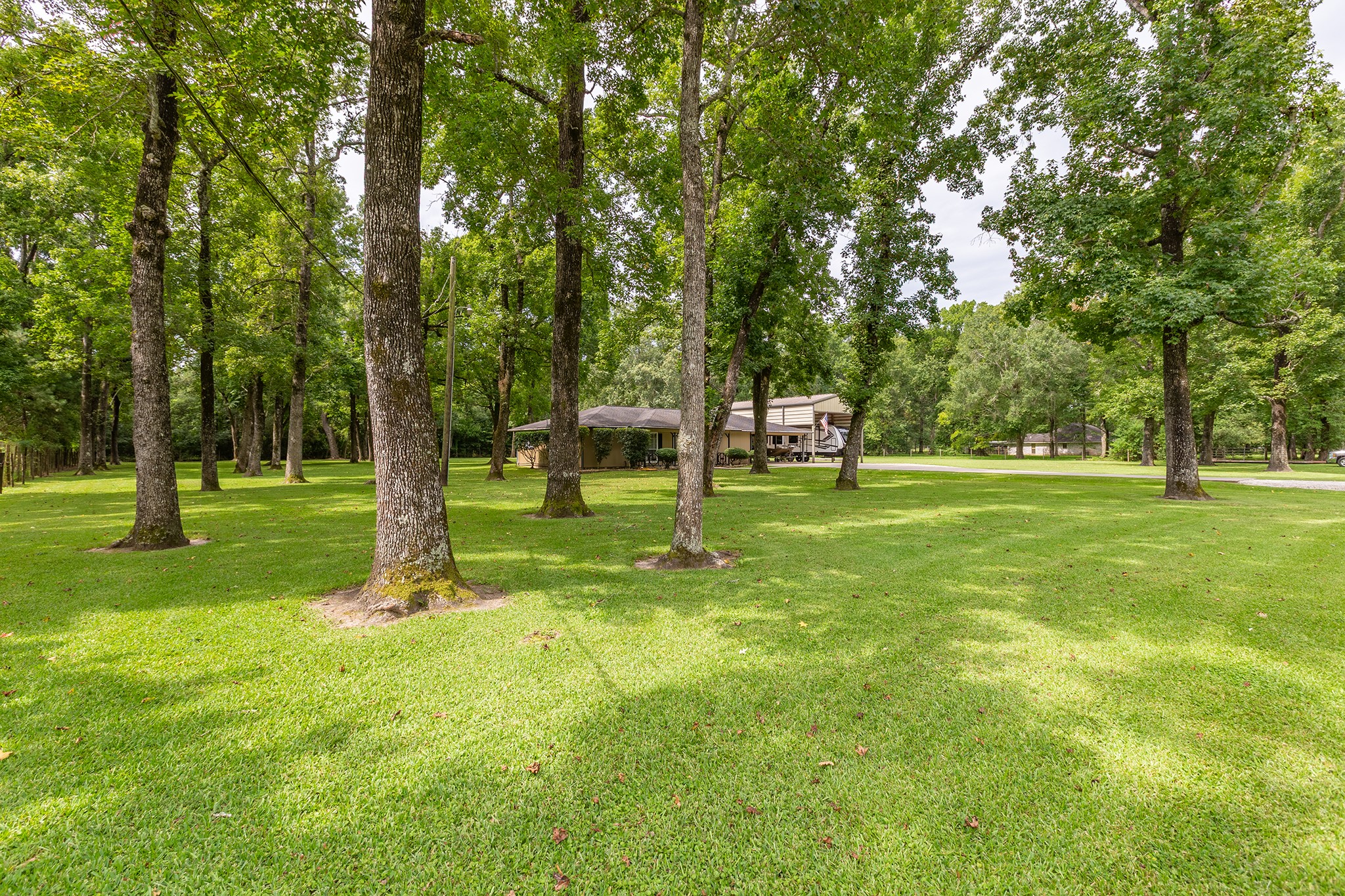 175 County Road 2005 Liberty, TX 77575 - Photo 36 of 42 a view of a park with trees and grass
