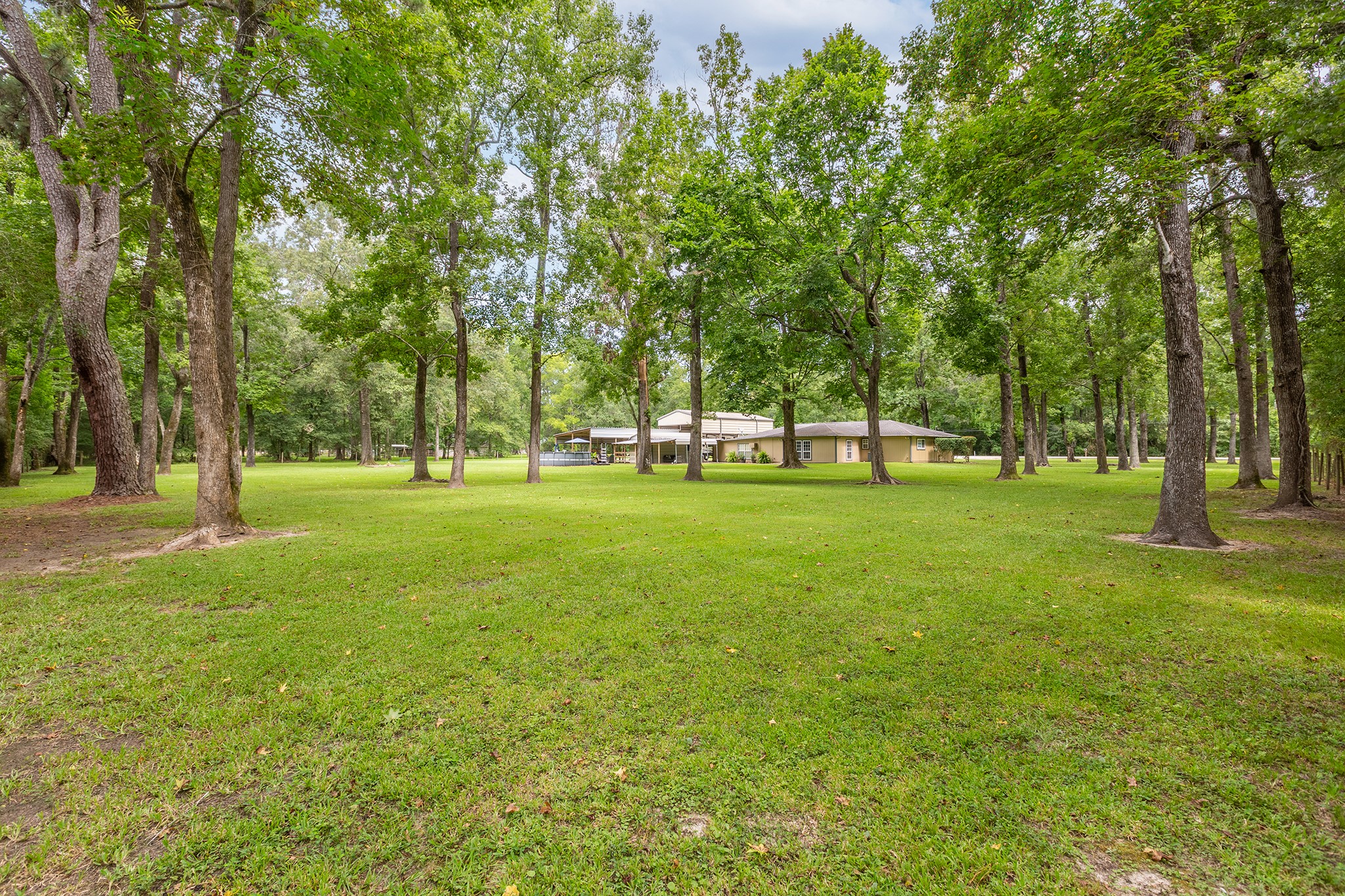 175 County Road 2005 Liberty, TX 77575 - Photo 42 of 42 a view of field with trees