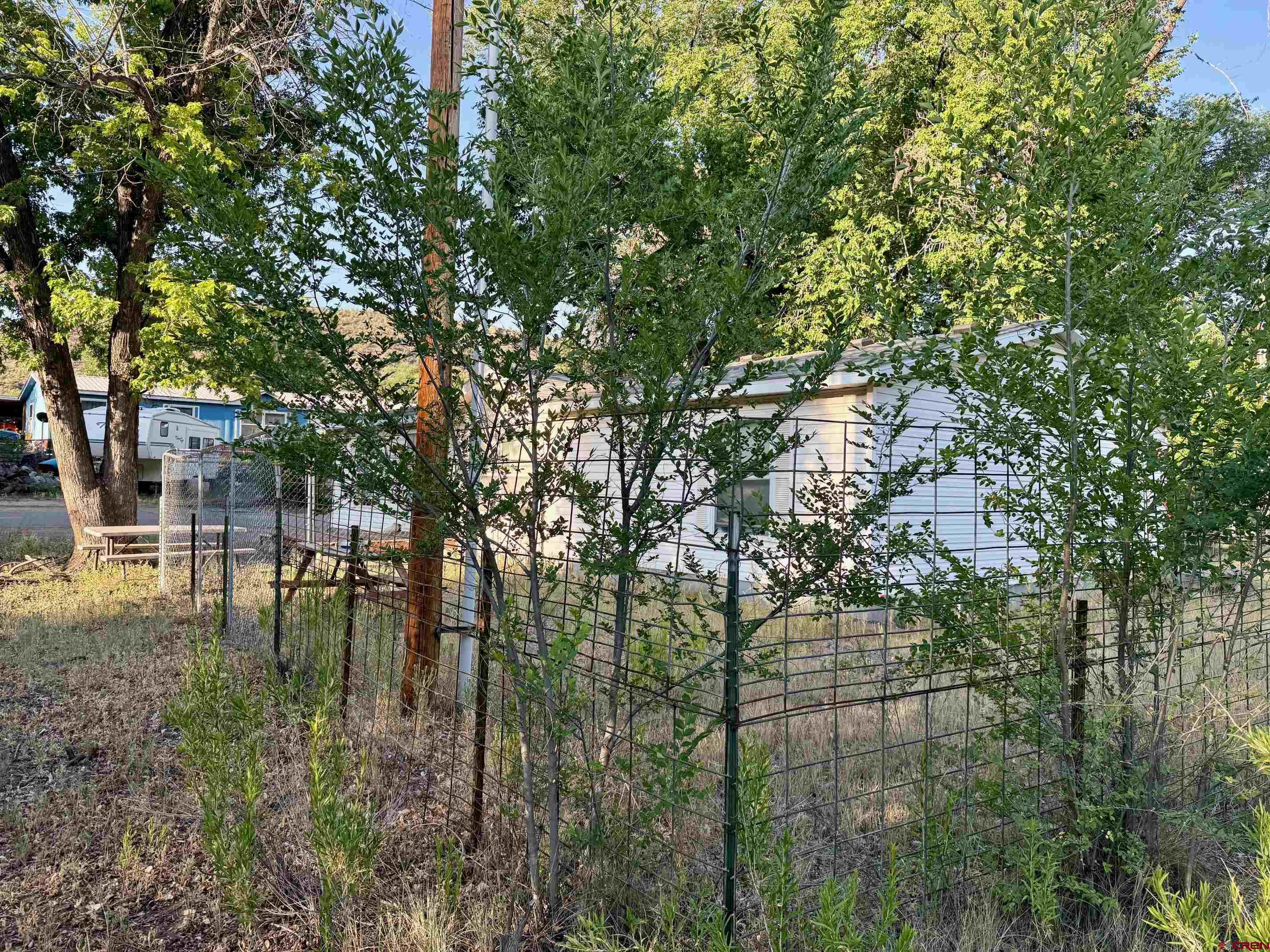440 Park Drive Naturita, CO 81422 - Photo 3 of 18 a backyard of a house with lots of plants and large trees
