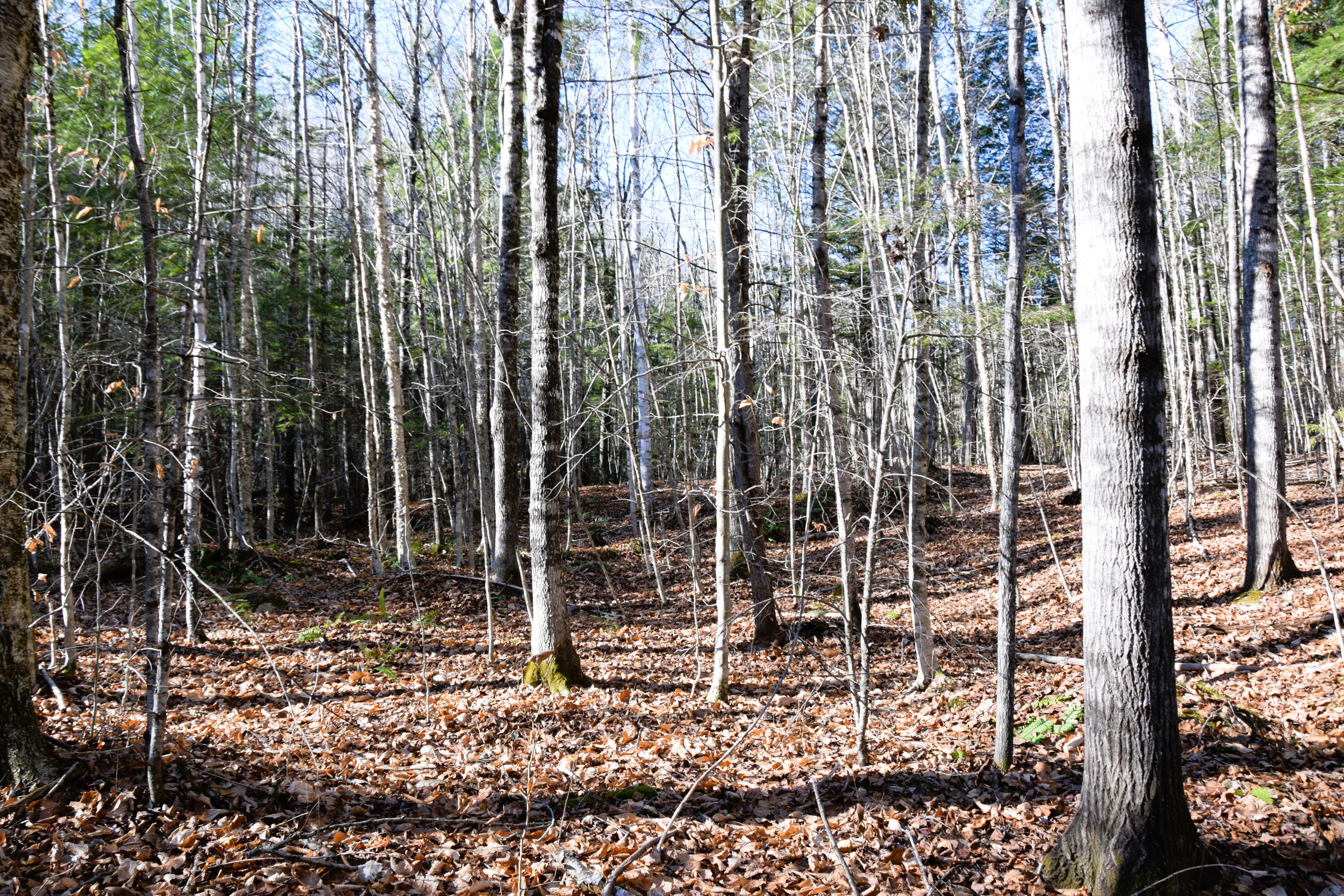 5 Pine Bluff Road Embden, ME 04958 - Photo 3 of 15