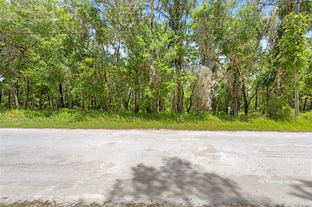 0 Ricebird Avenue, Unit LOT 89 Weeki Wachee, FL 34614 - Photo 19 of 27