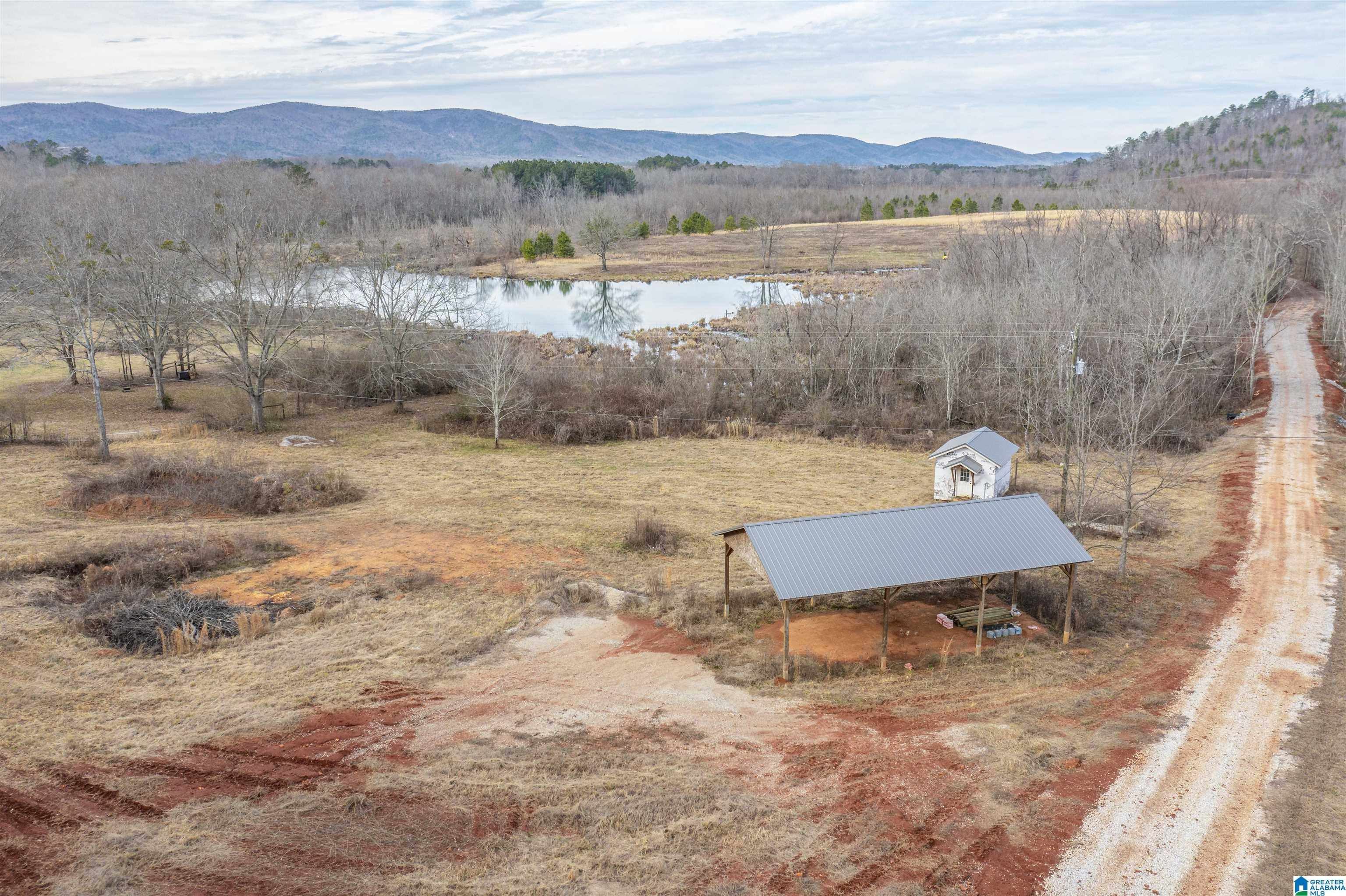 1619 Old Downing Ml Road, Unit 40 03 ACRES Anniston, AL 36207 - Photo 5 of 29