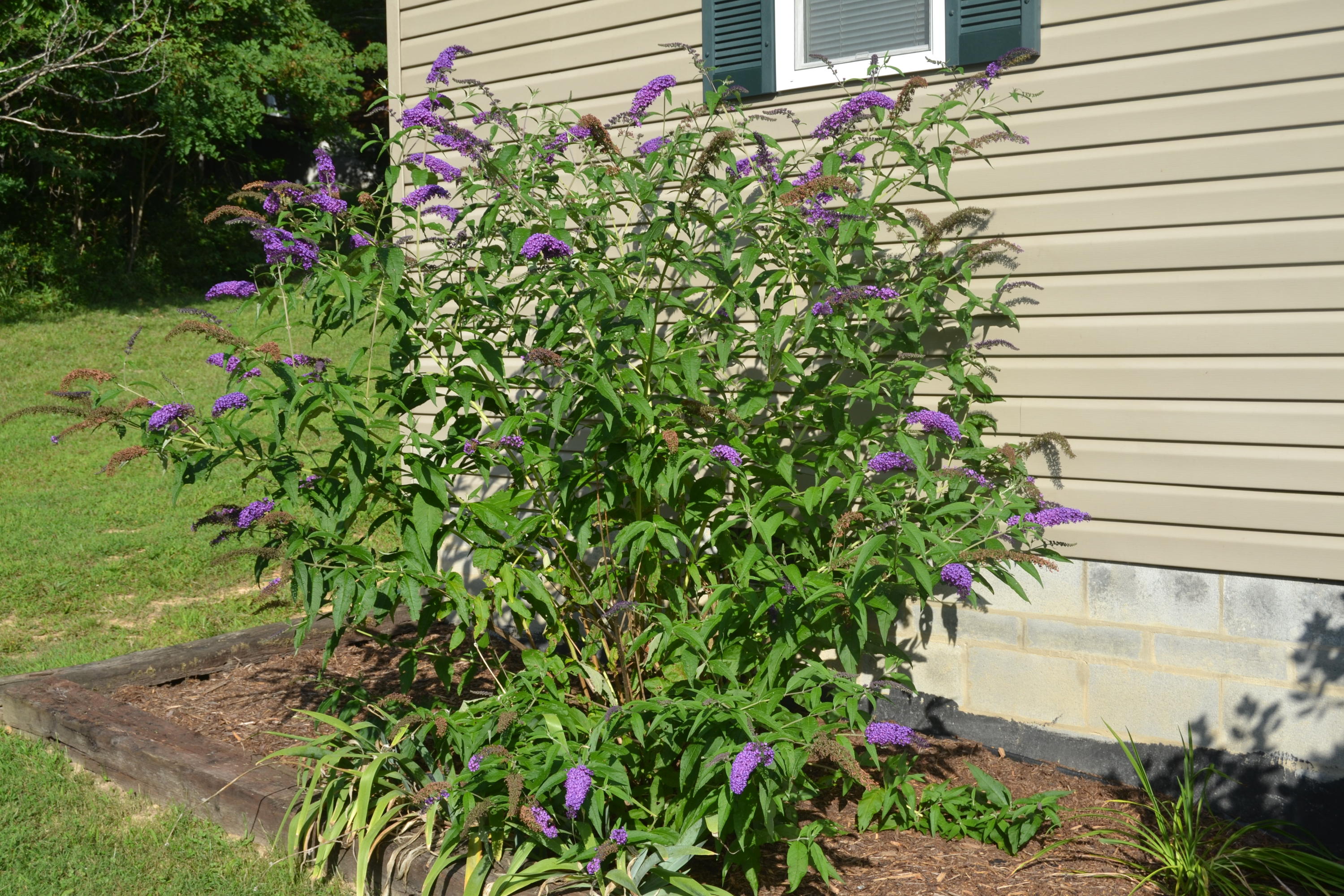 280 Sinking Creek Road Crawley, WV 24931 - Photo 61 of 62 Gallery Image 61