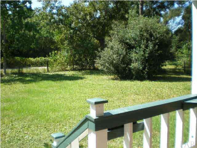View from front porch...