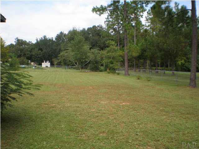 Large Backyard...