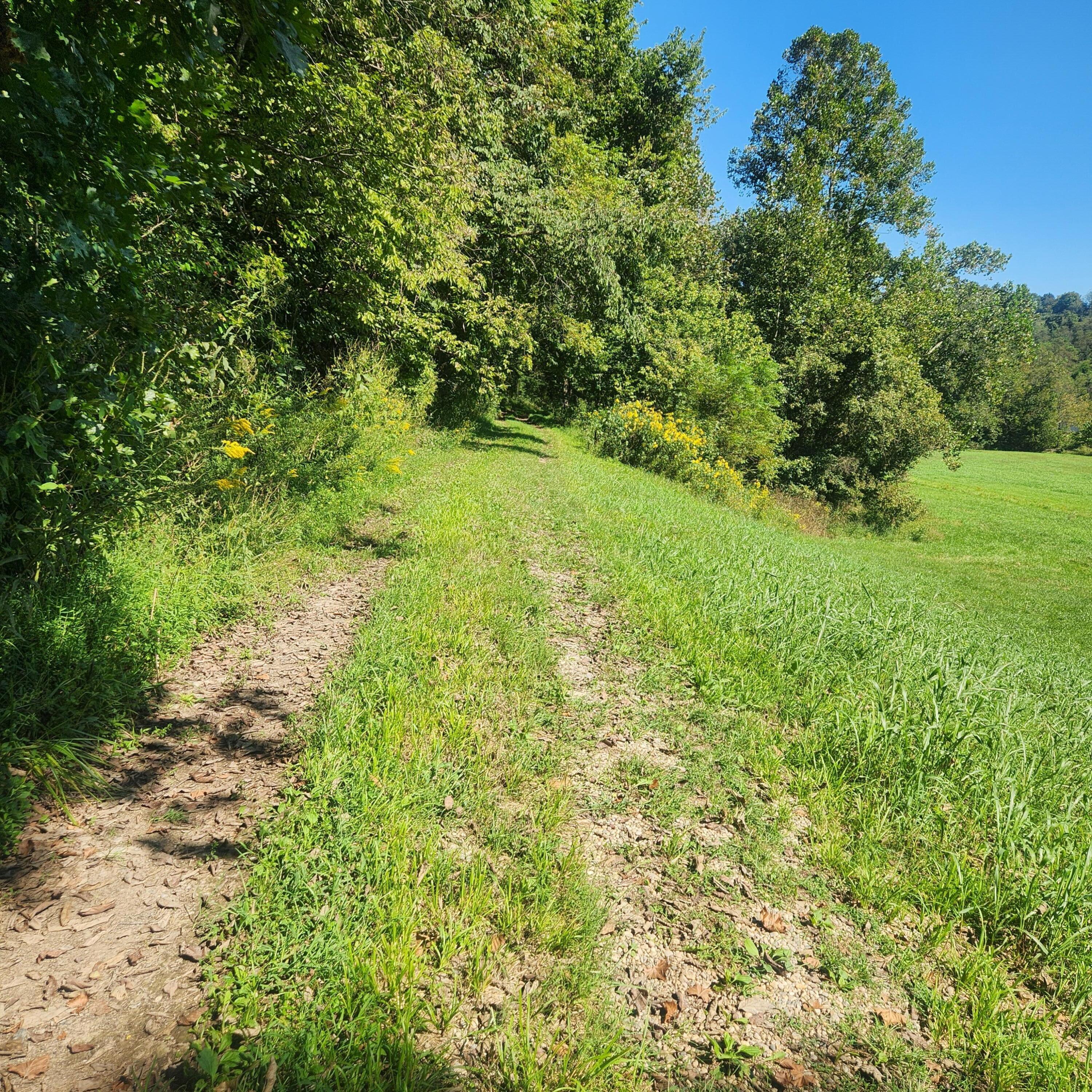 134 Whitlock Road Richmond, KY 40475 - Photo 7 of 9 20260915_120611