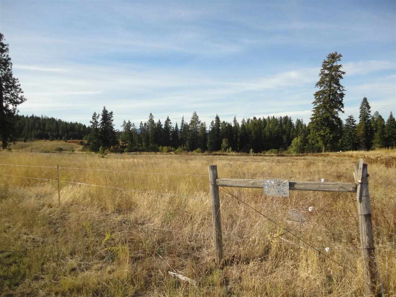 20007 North Hazard Road Spokane, WA 99208 - Photo 4 of 9