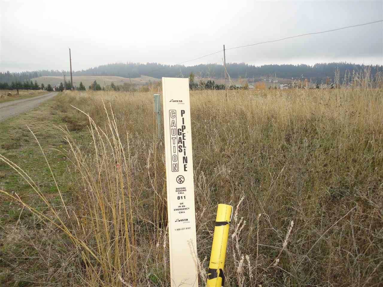 20007 North Hazard Road Spokane, WA 99208 - Photo 8 of 9