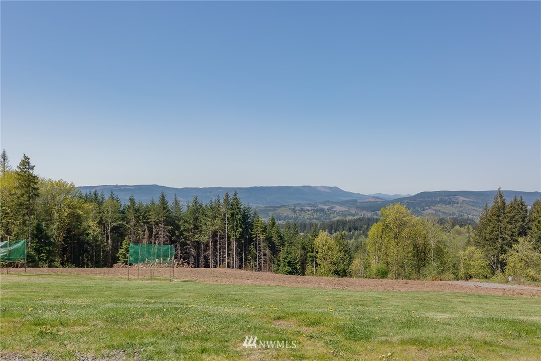 280 Si Town Road Castle Rock, WA 98611 - Photo 2 of 24 Gallery Image 2