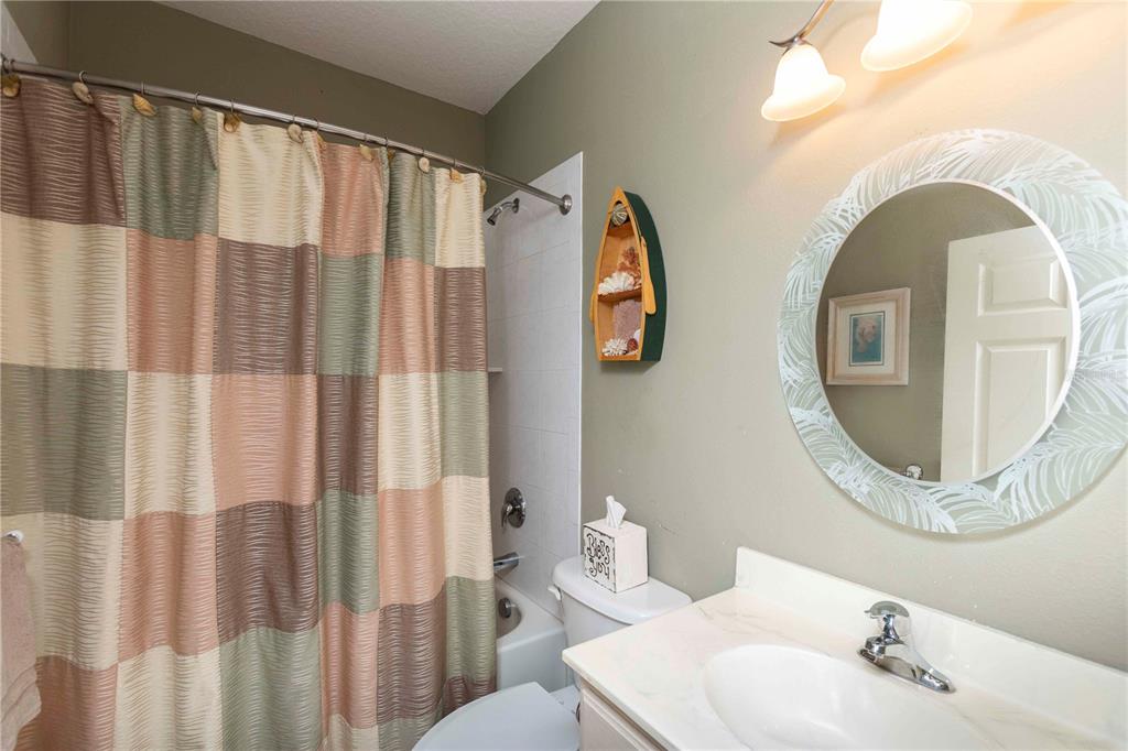 3746 Dogtrot Street New Port Richey, FL 34655 - Photo 27 of 50