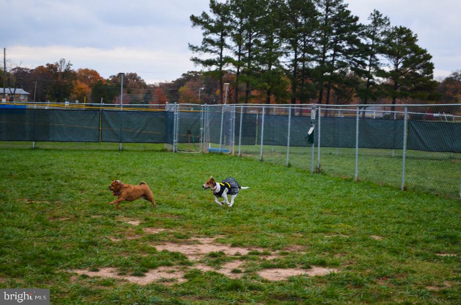 8415 Leland Road Manassas, VA 20111 - Photo 55 of 55 Dog park- 1 small dog field, 1 big dog field