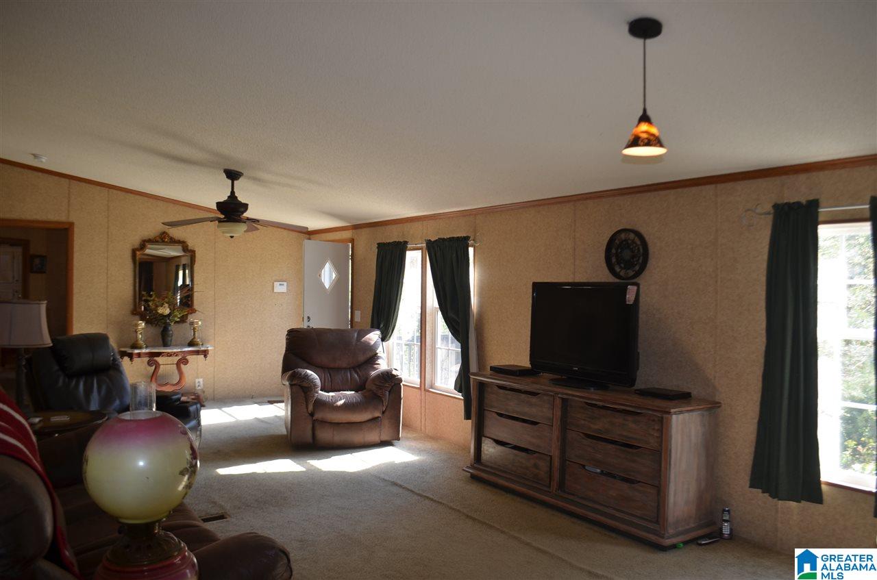 799 Pleasant Hills Road Odenville, AL 35120 - Photo 4 of 49