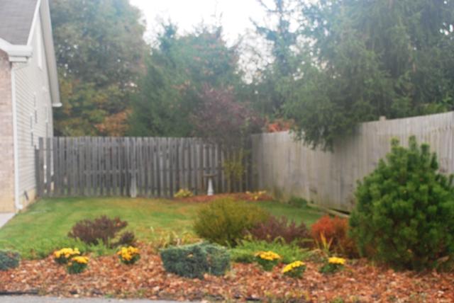2 Village Road Lewisburg, WV 24901 - Photo 2 of 12 side yard