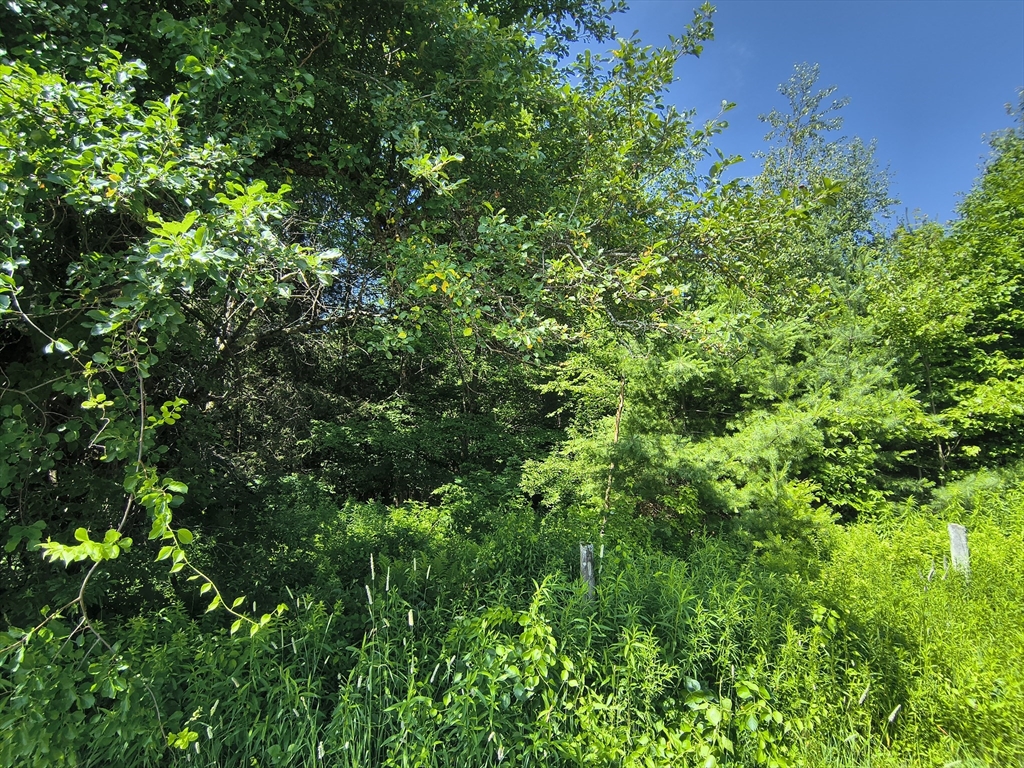 Lot A Ridge Road Worthington, MA 01098 - Photo 4 of 9
