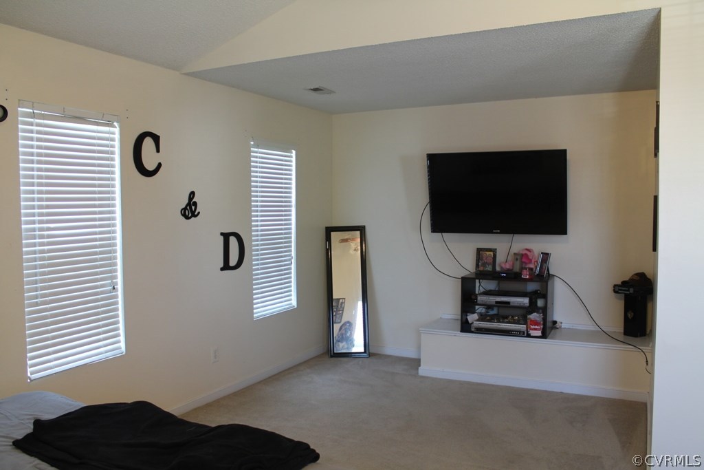 6308 Trailing Ridge Court Henrico, VA 23231 - Photo 16 of 24 Gallery Image 16