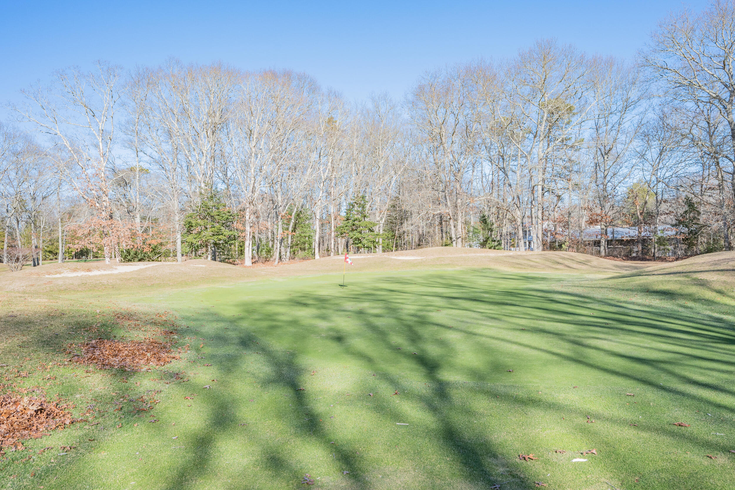6 Bunker Circle Sandwich, MA 02563 - Photo 29 of 43 a view of grassy field with trees