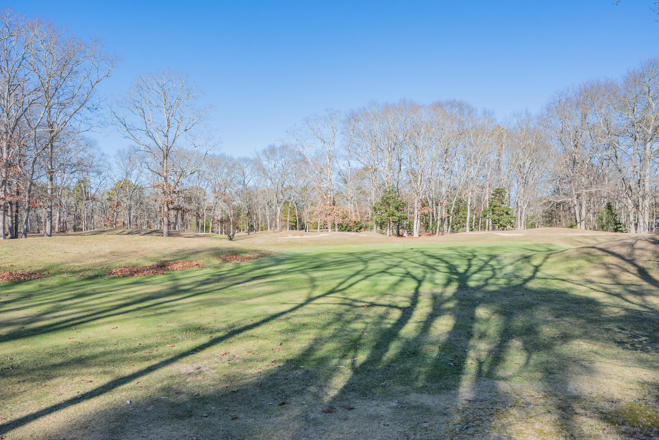 6 Bunker Circle Sandwich, MA 02563 - Photo 32 of 43 a view of grassy field with trees