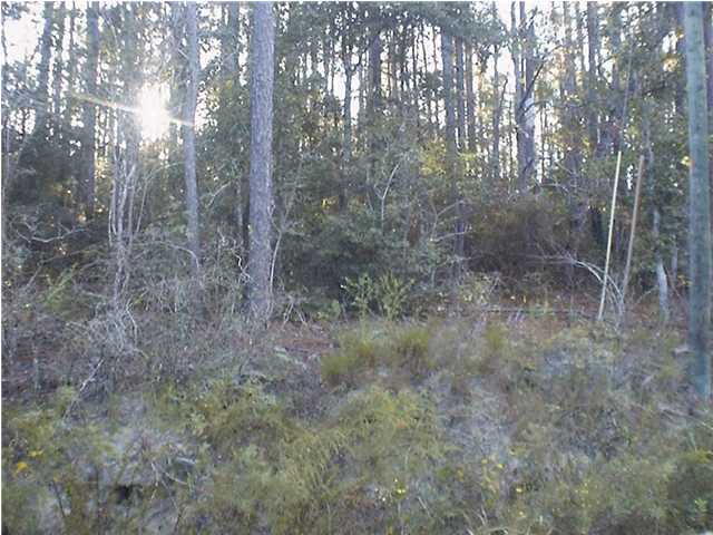 Lot 49-qr Spring Lake Road DeFuniak Springs, FL 32433 - Photo 1 of 5 a view of a forest with trees in the background