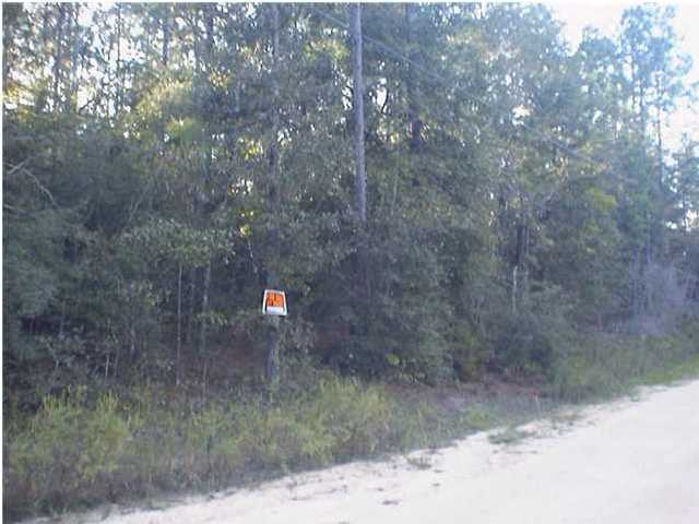 Lot 49-qr Spring Lake Road DeFuniak Springs, FL 32433 - Photo 2 of 5 a view of a dry yard