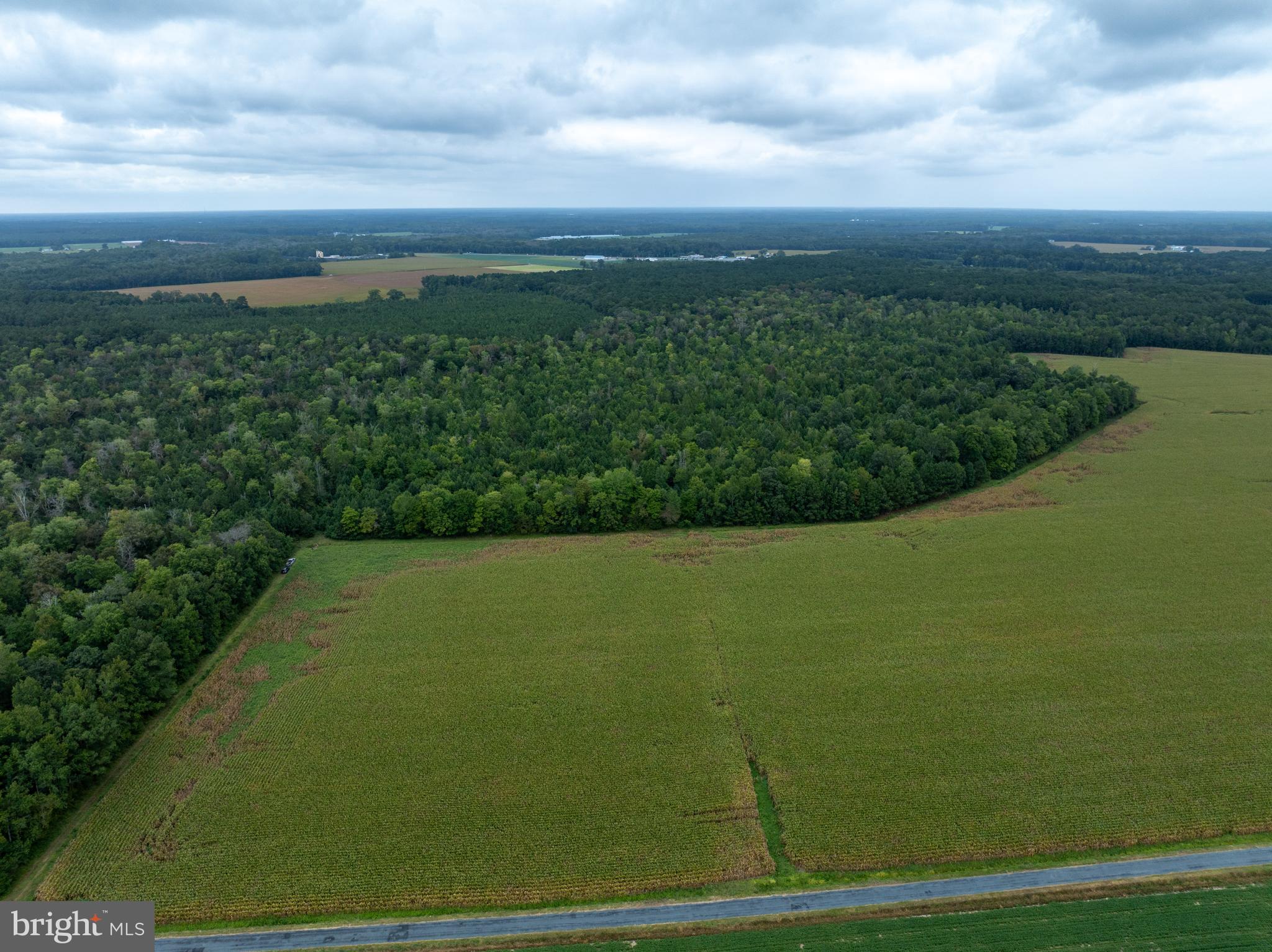 Slocom Farm Road New Church, VA 23415 - Photo 5 of 28 Gallery Image 5