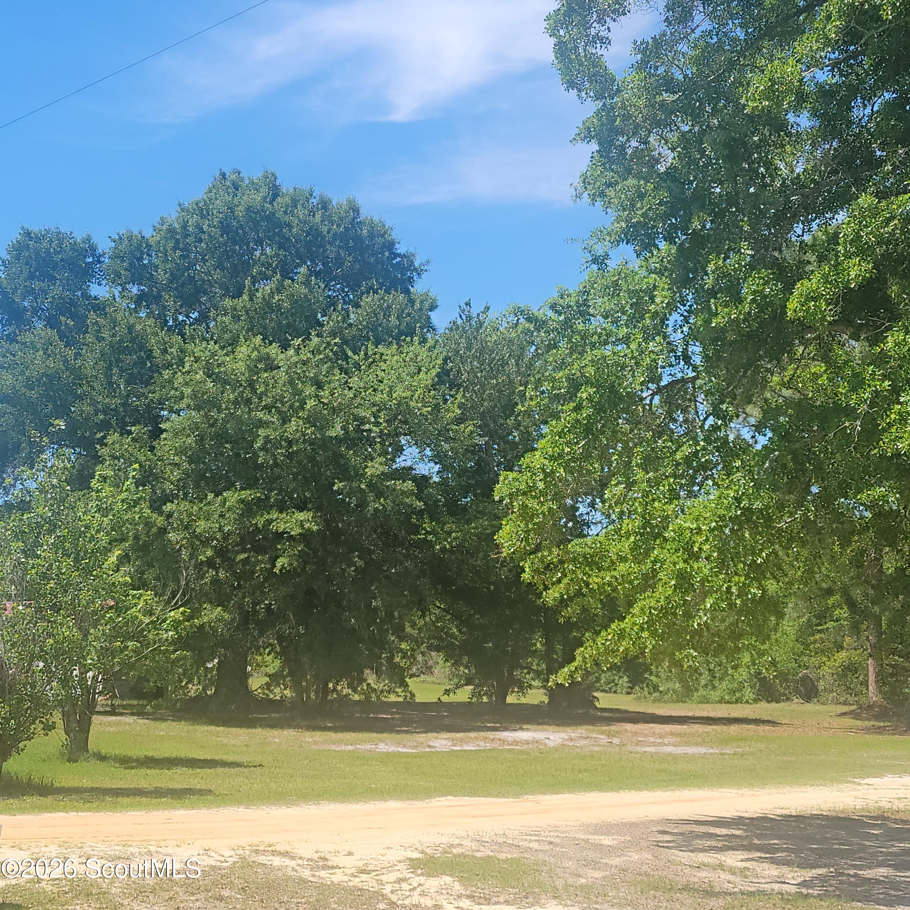 1611 Broadhurst Road West Screven, GA 31560 - Photo 7 of 15