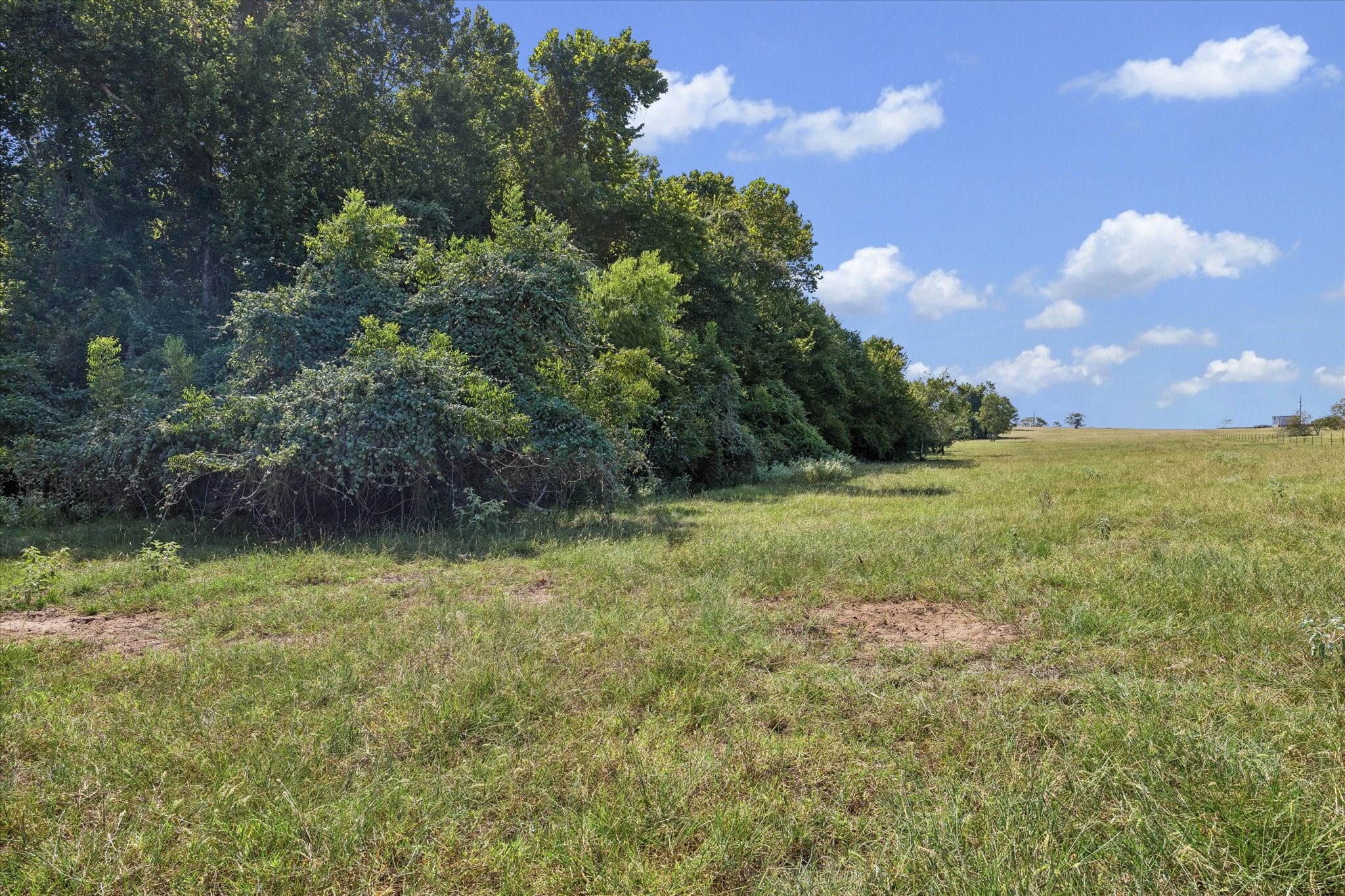 0 Ripple Lane New Ulm, TX 78950 - Photo 11 of 17 Gallery Image 11
