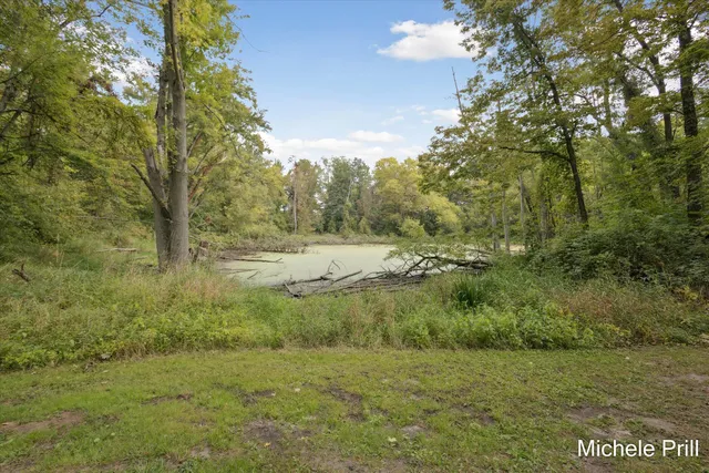 $875,000 | 9877 Brumm River Drive, Nashville, MI 49073