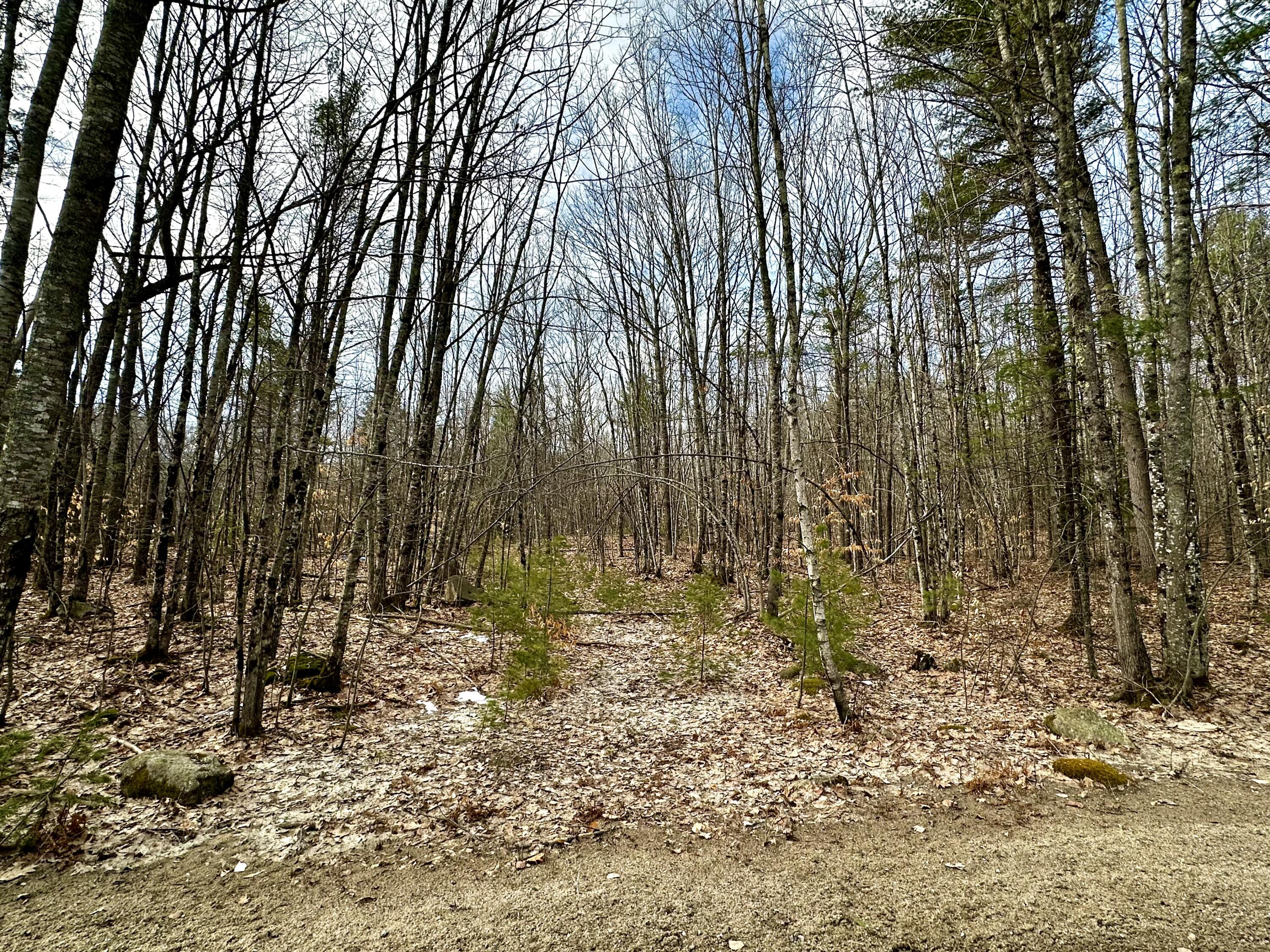 332 Folly Road Sebago, ME 04029 - Photo 4 of 5 IMG_3881