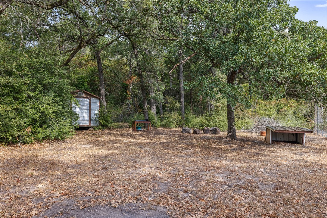 1027 Shadylane Drive Lexington, TX 78947 - Photo 11 of 45 a backyard of a house with large trees and a small barn