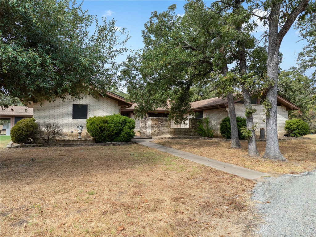 1027 Shadylane Drive Lexington, TX 78947 - Photo 45 of 45 a view of a house with a tree and plants
