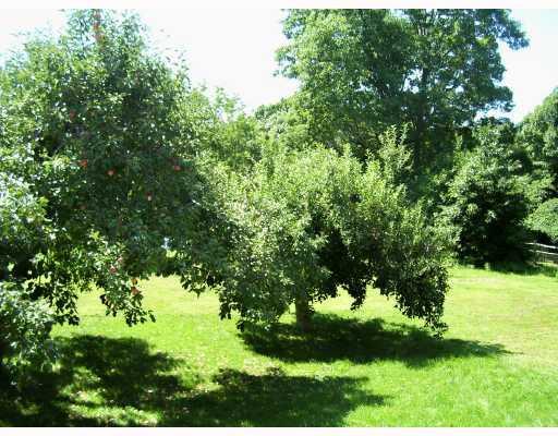 345 Rich Hill Road Cheswick, PA 15024 - Photo 4 of 6 Land/Lot.