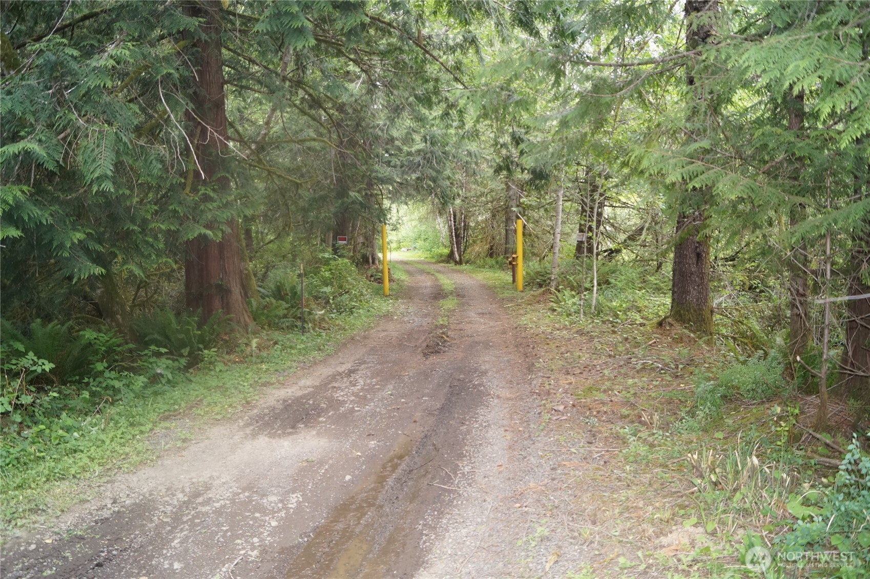 -off Of Panhandle Road Hoquiam, WA 98550 - Photo 12 of 13 Gallery Image 12